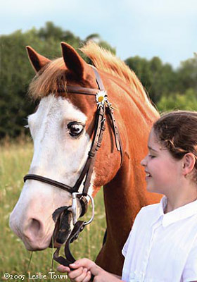 Welsh Pony and Girl